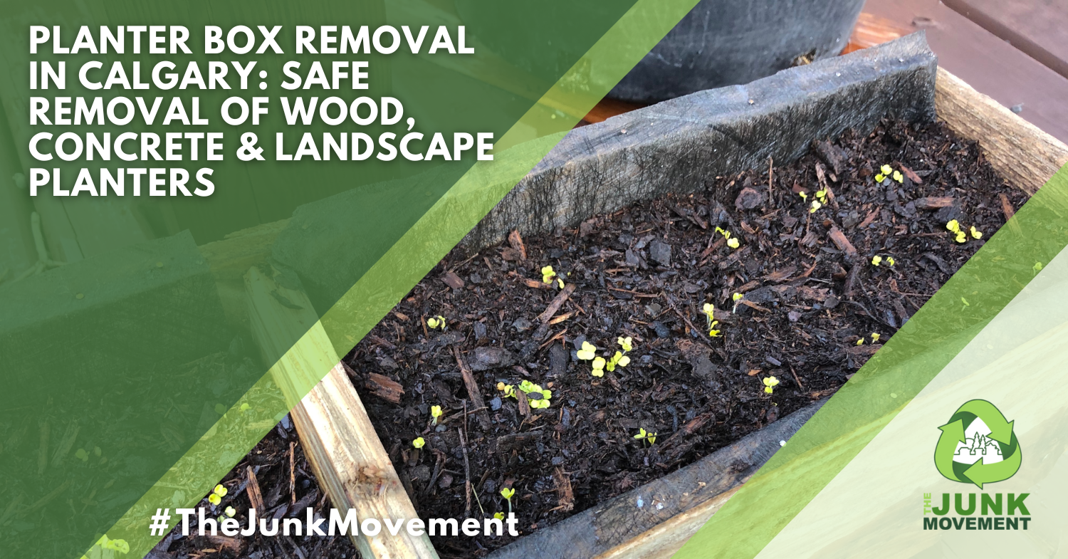 Planter Box Removal in Calgary: Safe Removal of Wood, Concrete & Landscape Planters